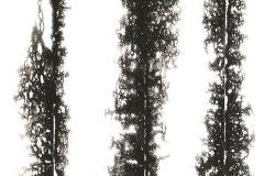 Chemimetrie
